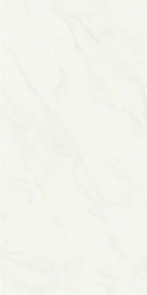 YCGA95002 雪花白
